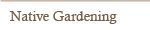 Native Gardening